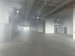 Ct Foodnex (D25), Factory #497817751